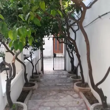 The Mandarin Tree House *